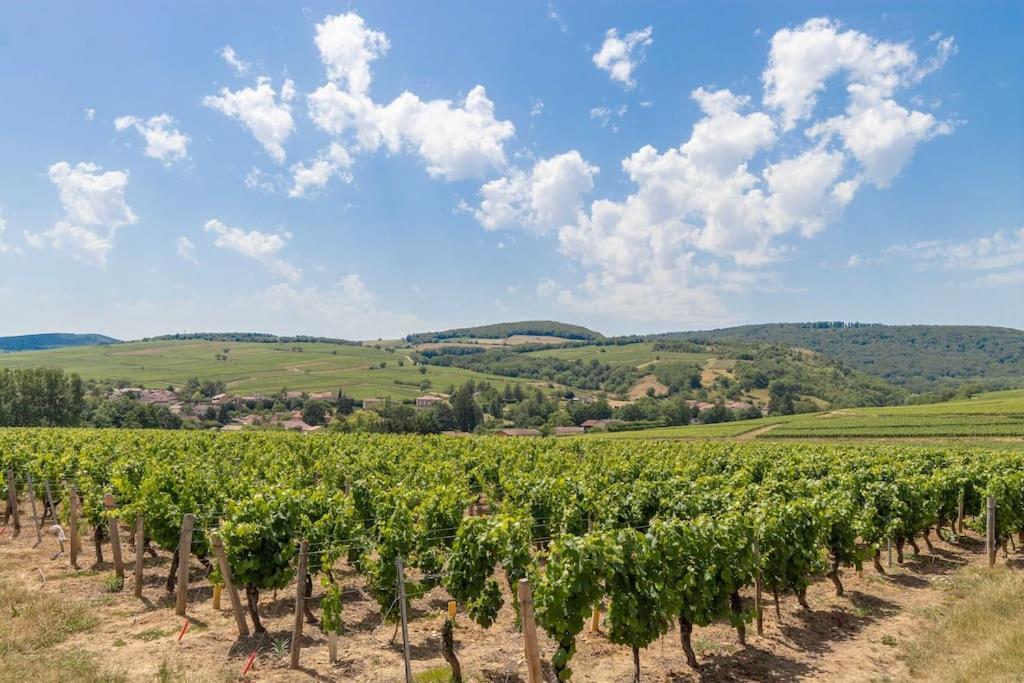 Cabana & Le Gite De Domange - Proche Macon Ige  Экстерьер фото
